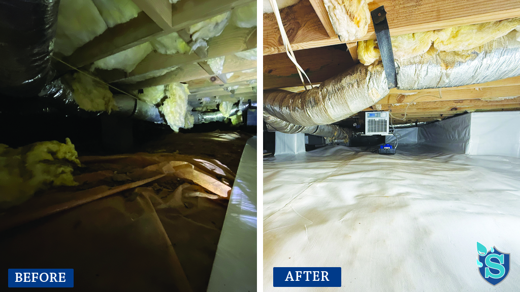 crawlspace before and after1
