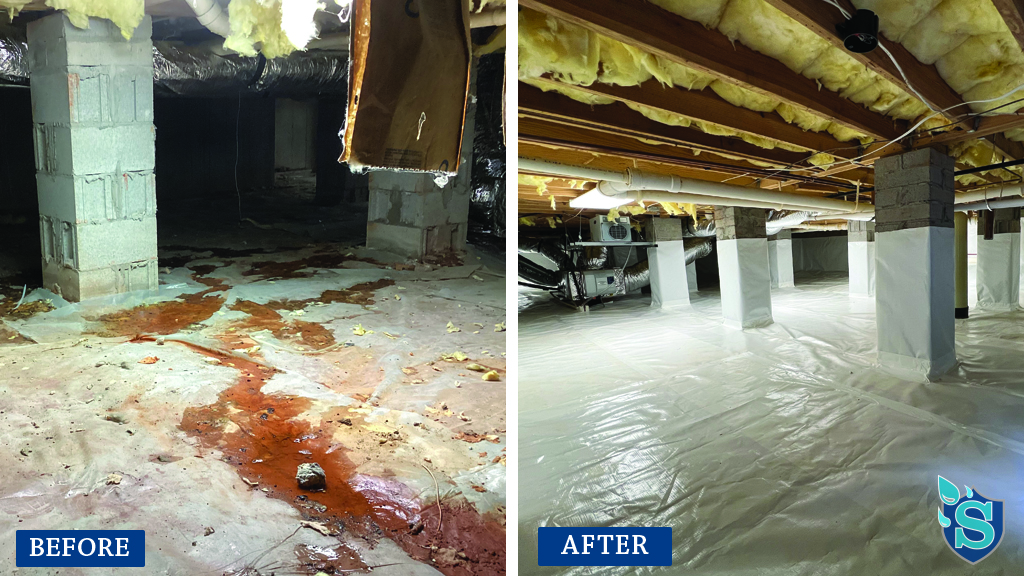 crawlspace before and after3